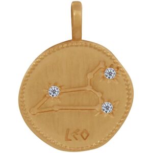 LES POULETTES BIJOUX Pendentif Plaque Or Constellation Lion et Strass