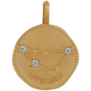 LES POULETTES BIJOUX Pendentif Plaque Or Constellation Capricorne et Strass