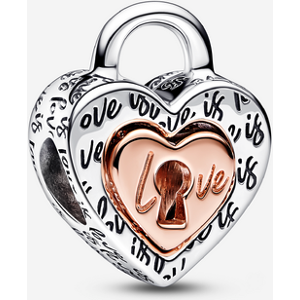 Pandora Charm C?ur Separable Cadenas Bicolore Aucune couleur one size female