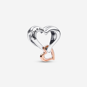 Pandora Charm C?ur Infini Ajoure Bicolore Aucune couleur one size female