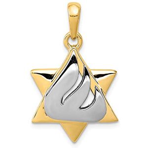 JewelryWeb Collier avec pendentif religieux Judaïca étoile de David en satin poli poli 14 carats 20 x 17 mm, One Size, Métal Doré Métal, Pas de gemme - Publicité