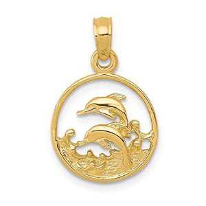 JewelryWeb Collier avec pendentif en forme de dauphin en or jaune massif 14 carats texturé poli avec double cercle de dauphin mesurant 22 x 15 mm de large Bijoux pour femme, One Size, Métal Or jaune Doré Métal - Publicité