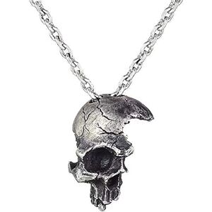 southbankstore Collier avec pendentif en forme de tête de mort cassé endommagé avec chaîne pour homme et femme, Zinc - Publicité