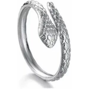 HommeBijoux Bague Femme Forme De Serpent Enroulée Sensuelle Couleur Argent Acier Fr 57-58 (us 8)