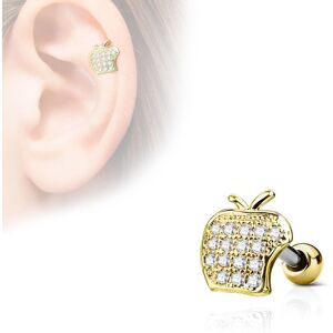 Piercing Street Piercing oreille cartilage helix pomme strass plaque or - Dore