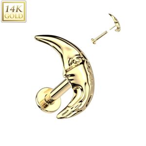 Piercing Street Piercing labret oreille or jaune 14 carats croissant de lune - Dore