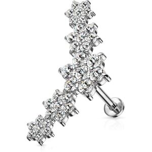 Piercing Street Piercing labret oreille cinq fleurs strass - Argente