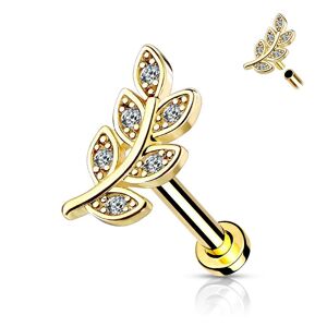 Piercing Street Piercing labret oreille feuille pavee plaque or - Dore