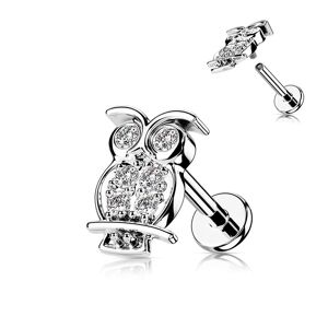 Piercing Street Piercing oreille labret cartilage hibou argente - Argente