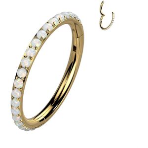 Piercing Street Piercing oreille anneau segment titane dore pave d'opalines - Dore