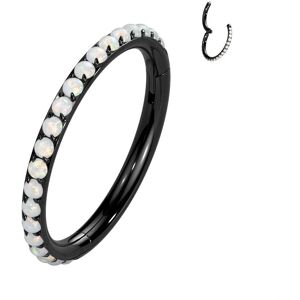 Piercing Street Piercing oreille anneau segment titane noir pave d'opalines - Noir