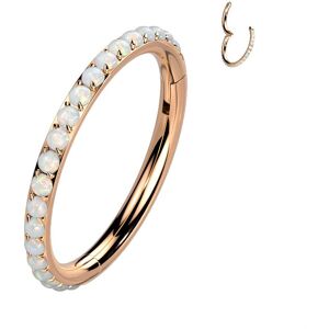 Piercing Street Piercing oreille anneau segment titane rose pave d'opalines - Or Rose