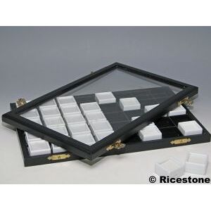 Ricestone 6) Coffret vitre escamotable 40x boîtes gemmes 3x3.