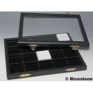 Ricestone 8) Coffret vitré escamotable 20x boîtes gemmes 4x4.