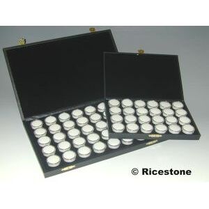 Ricestone 1b) Coffret pierre taillee, 40 boites rondes plastique