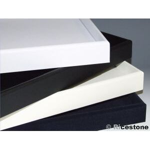 Ricestone 1g) Grand plateau de presentation 30x45 cm vide pour bijoux.