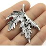 MedkO 2st 55x45mm Antiek Zilver Kleur Antiek Brons Maple Leaf Hanger Hanger Maple Leaf Maple Leaf Charm-Antiek Verzilverd