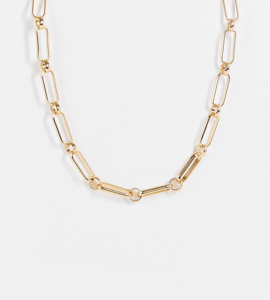 Accessorize chain link necklace in gold  Gold