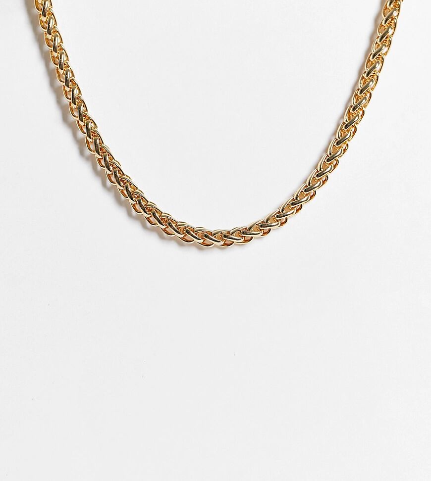 ASOS Curve ASOS DESIGN Curve necklace in roll chain in gold tone  Gold