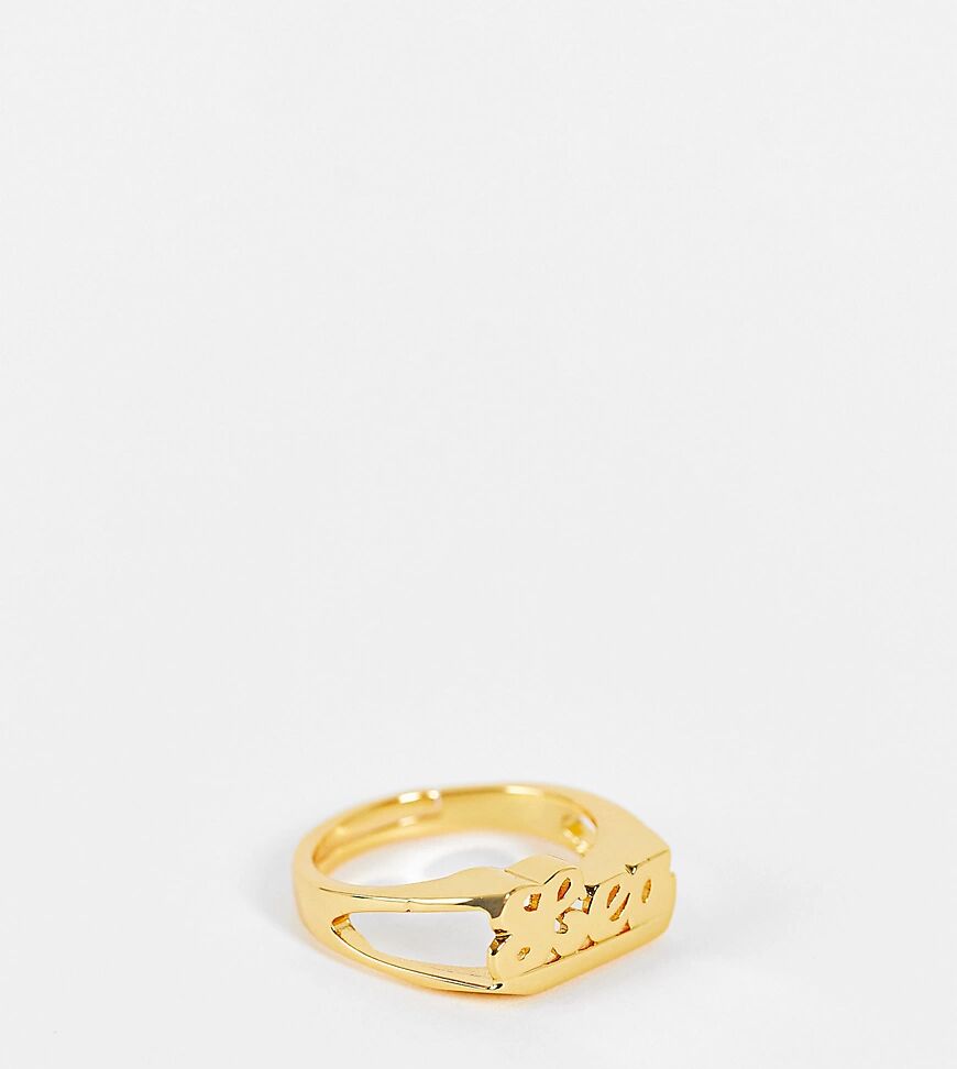 Image Gang adjustable Leo horoscope ring in gold plate  Gold