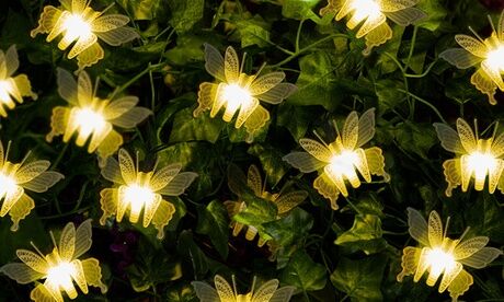 Groupon Goods Global GmbH One, Two or Three 10-LED Warm White Butterfly Solar Light Strings