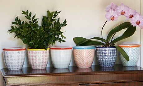 Groupon Goods Global GmbH Up to Six Nicola Spring Indoor and Outdoor Patterned Porcelain Plant Pots