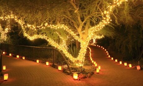 Groupon Goods Global GmbH Up to Four Strings of 50, 100 or 200 LED Solar-Powered Fairy Lights