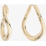 splendid Shashi Kei Hoop Earrings