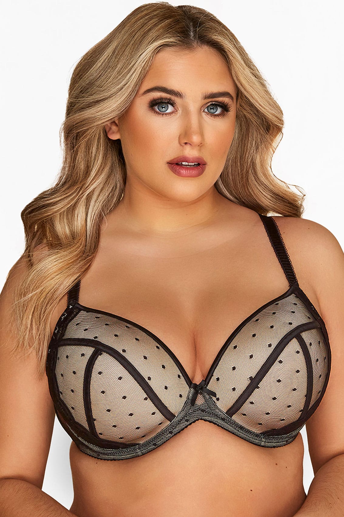 Yours Clothing Black spot mesh lace plunge bra