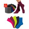 Elbsand Socken, (Dose, 5 Paar), verpackt in praktischer Metalldose 1 x pink, 1 x dunkel pink, 1 x limone, 1 x türkis, 1 x navy  39-42