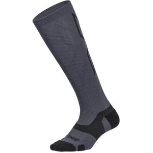 Socken in voller Länge 2XU Vectr L.Cush - Gris