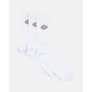 Dickies Socks - 3-Pack Valley Grove Hvid Unisex 39/42