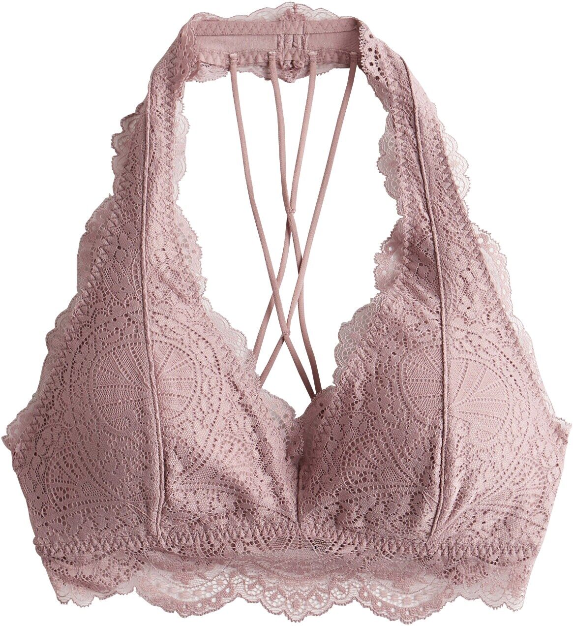 HOLLISTER Reggiseno Marrone