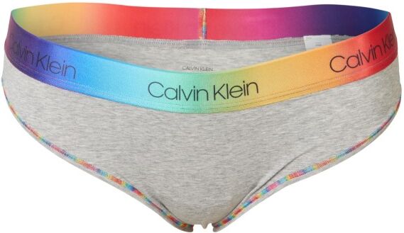 Calvin Klein Pride Modern Cotton Plus Hipster - Light grey * Kampanje *