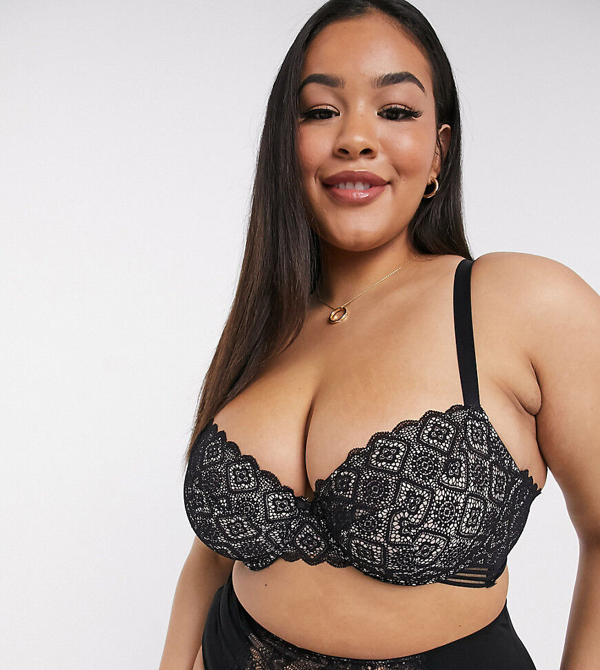 Dorina Plus Size Sienna non padded graphic lace bra in black  Black