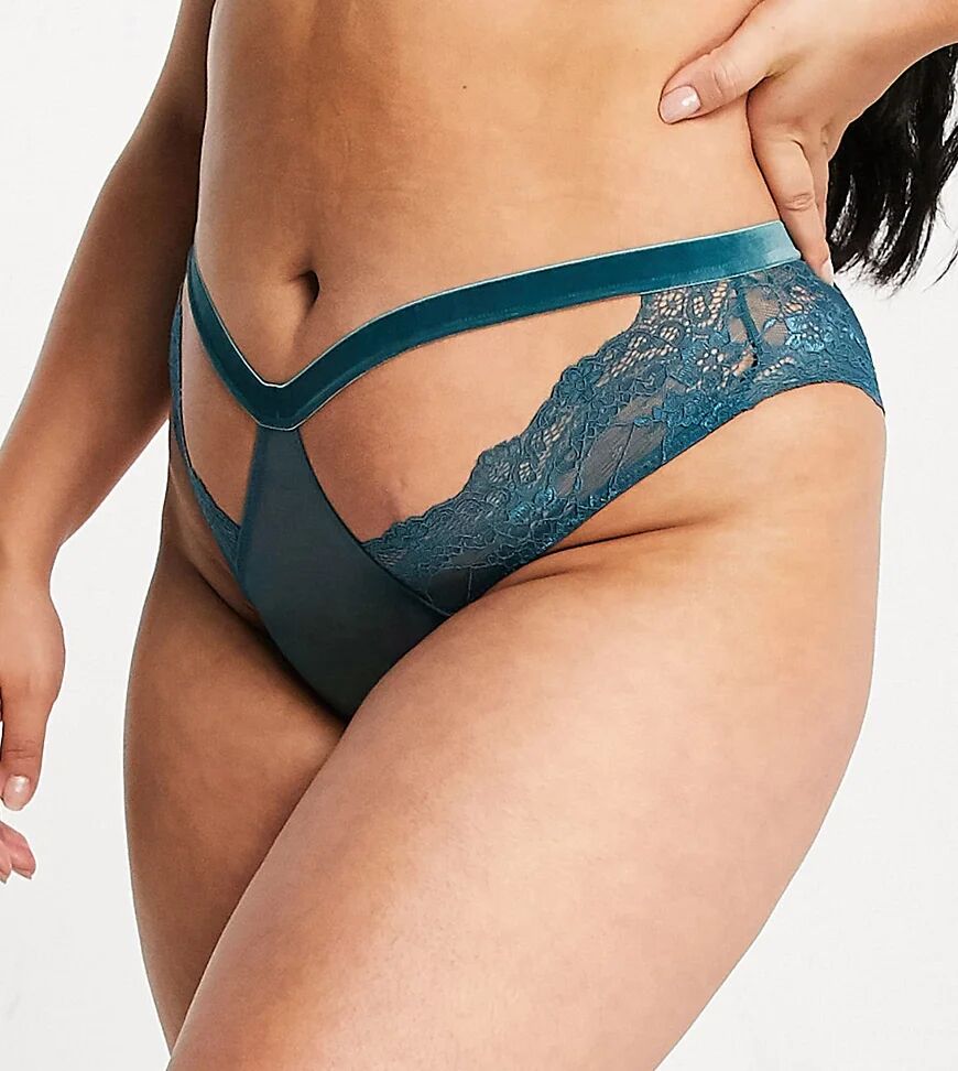 We Are We Wear Curve brazilian brief with velvet and hardwear trims in teal-Blue  Blue