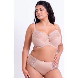 Pour Moi Imogen Rose Embroidered Full Cup Bra Latte