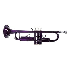 Shanrya Trumpet Set, Brass Good Resonance Durable B Flat Trumpets Full Tone with Storage Bag for Music Learning(Purple)