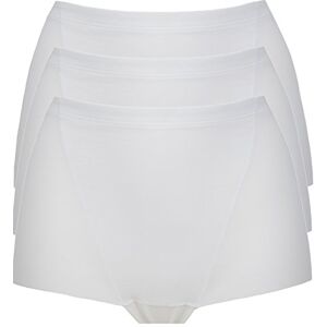 Ex-Store Light Control Low Leg Knickers 3 Pack White 14