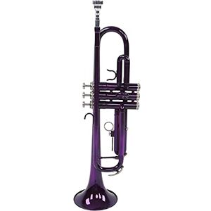 Shanrya Trumpet Set, B Flat Trumpets Good Resonance Brass Full Tone Replacement for Music Learning(Purple)