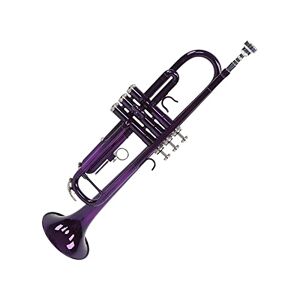 banapo Trumpet Set, Replacement Durable B Flat Trumpets Good Resonance with Storage Bag for Music Learning(Purple)