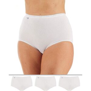 Sloggi 3Pk Basic Maxi Knicker White 26