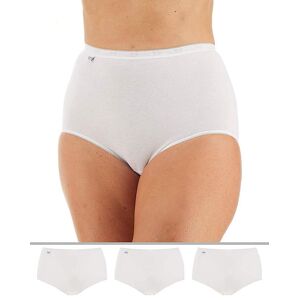 Sloggi 3pk Basic Maxi Briefs White 12 Female