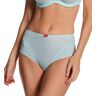 Panache Women's Tango Essence Deep Brief Panty in Blue (10963)   Size Medium   HerRoom.com