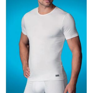 Camiseta 591 / 41Y Abanderado Blanco XXL60