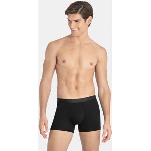 IBYIMPETUS 2 Pack Boxer I Am Best NEGRO (L)