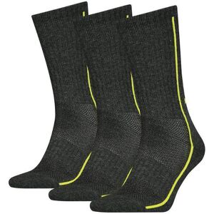 Calcetines Head Performance Crew Gris Lima 3 Pares