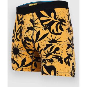 Stance Sun Dust Brief Bokserit ruskea