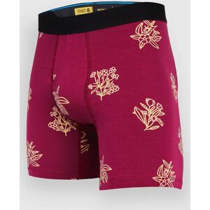 Stance Grandmas Boy Brief Bokserit