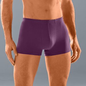 In Fine Boxer uni ceinture élastiquée recouverte - lot de 5 - 141/148 - Autres - In FineGrand choix de coloris pour ce lot de 5 boxers réalisés dans un coton peigné de qualité : extensible, plus doux et plus confortable.6XLDiesel